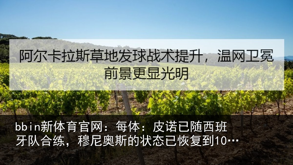 bbin新体育官网:每体:皮诺相关情况,穆尼相关情况到100%