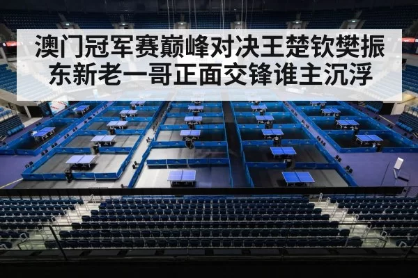 table tennis stadium