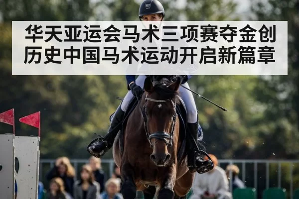华天亚运会马术三项赛夺金创历史中国马术运动开启新篇章